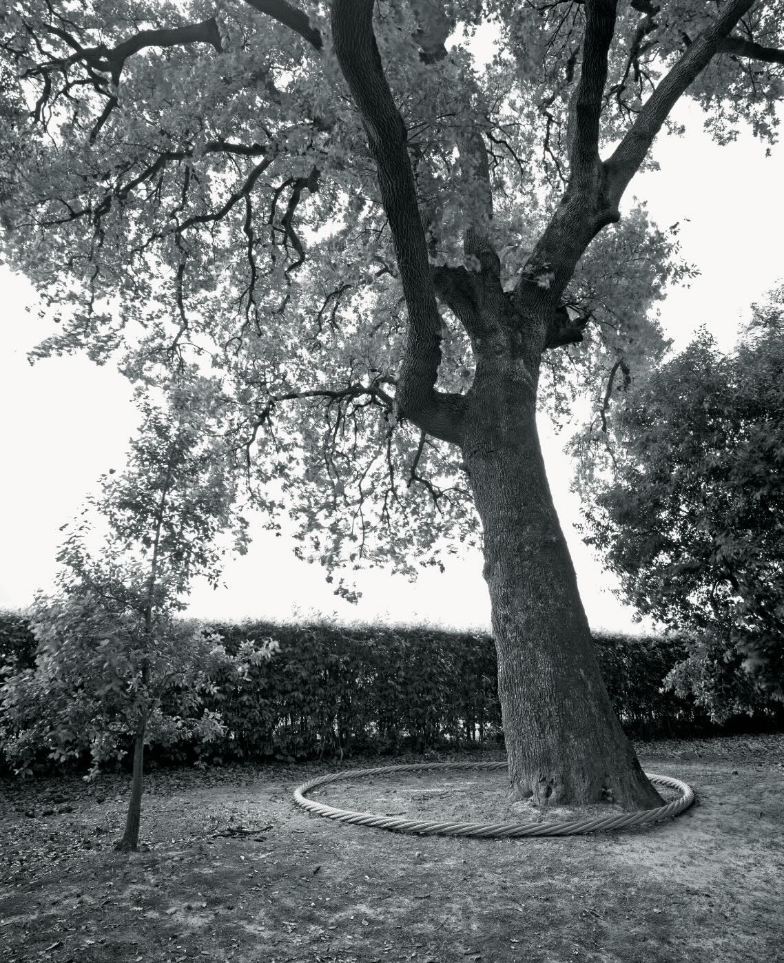 Continuo infinito presente, “Remo Salvadori. Continuo Infinito Presente”, Fattoria Montellori, Fucecchio, 2006 , Photo © Agostino Osio