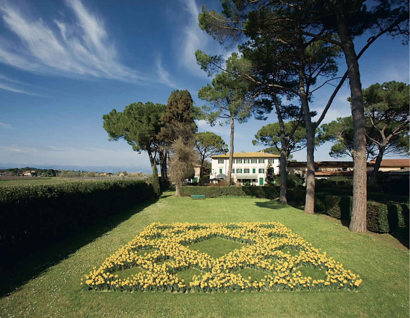 Splendore del giallo, Fattoria Montellori, Fucecchio, 2010, Photo © Serge Domingie
