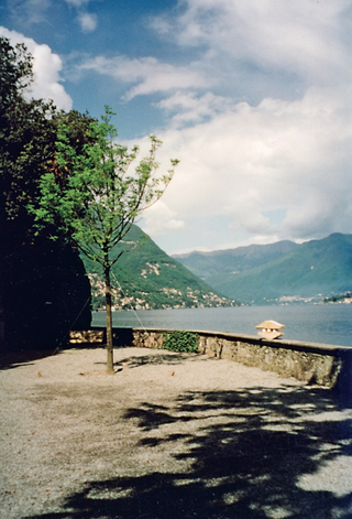La domenica piantare il frassino e allo stesso tempo la calendula, il ginepro, l’alloro, il rosmarino, Villa Pizzo, Cernobbio, 2001 (dettaglio)